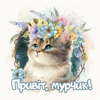 Привіт, мурчик!