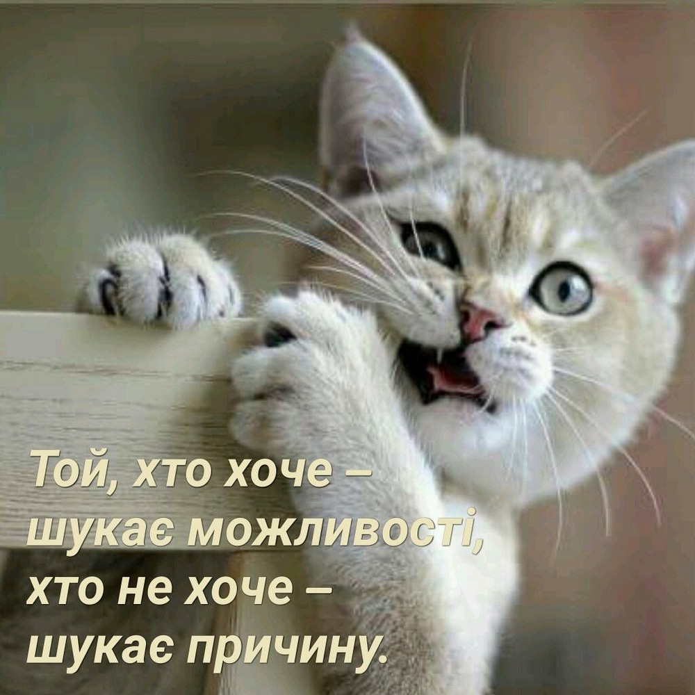 Той, хто хоче шукає можливості, хто не хоче - шукає причину.