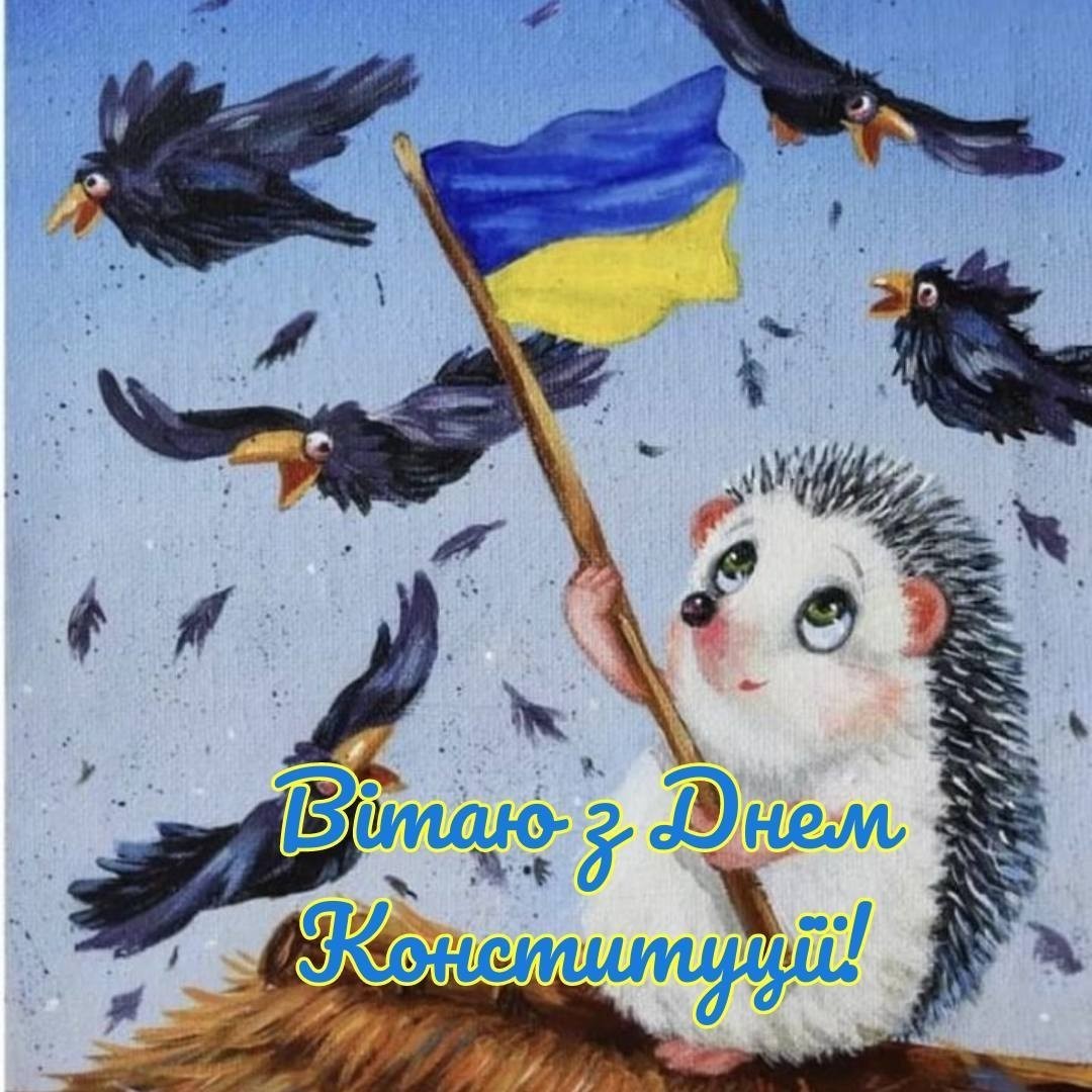 Вітаю з Днем КОНСТИТУЦІЇ! 
