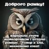 Доброго ранку! Вирішила стати жайворонком і встала раніше... Тепер я зла, невиспана сова!