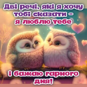 Дві речі, які я хочу тобі сказати - Я люблю тебе І бажаю гарного дня!
