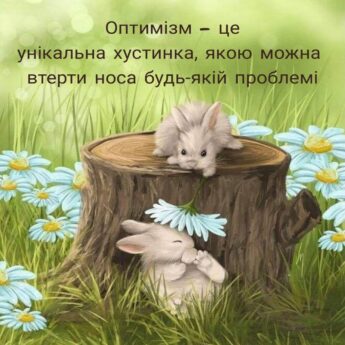 Оптимізм це унікальна хустинка, якою можна втерти носа будь-якій проблемі