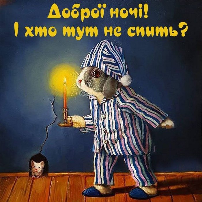 Доброї ночі!
І хто тут не спить?