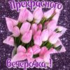 Прекрасного вечерочка!