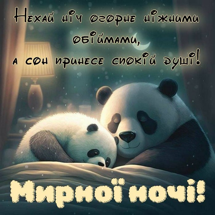 НЕХАЙ НІЧ ОГОРНЕ НІЖНИМИ ОБІЙМАМИ,
А сон принесе спокій душі!
Мирної ночі!