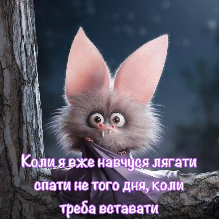 Коли я вже навчуся лягати
спати не того дня, коли
треба вставати