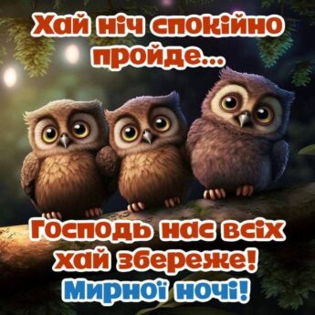 Хай ніч спокійно пройде.... Господь нас всіх хай вбереже. Mирної ночi!