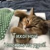 Тихої ночі і спокою на душi